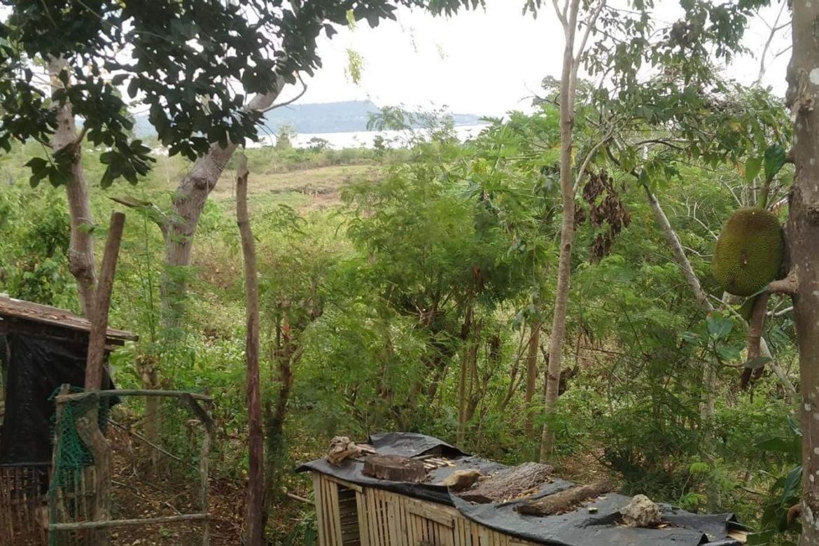 Land for Sale in Gabayan, Lazi, Siquijor