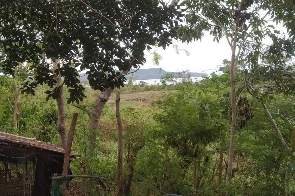 Land for Sale in Gabayan, Lazi, Siquijor – photo 5