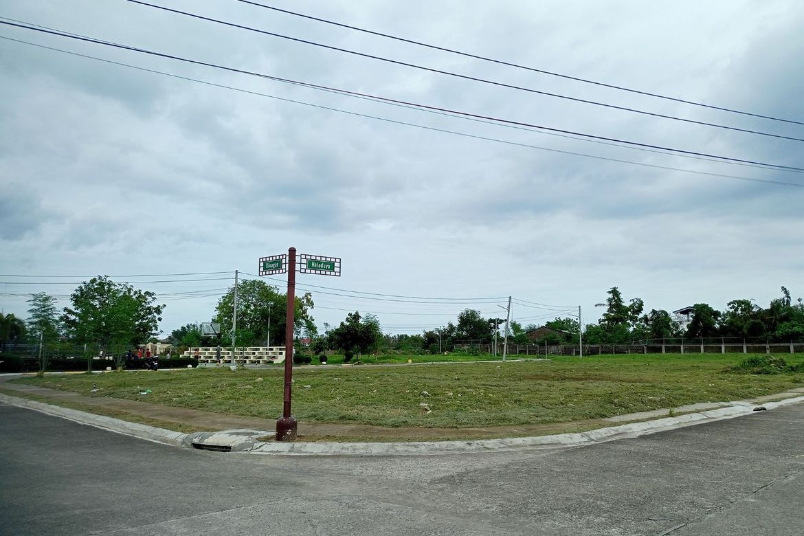 Land for Sale in Gabi, Cordoba, Cebu – photo 8