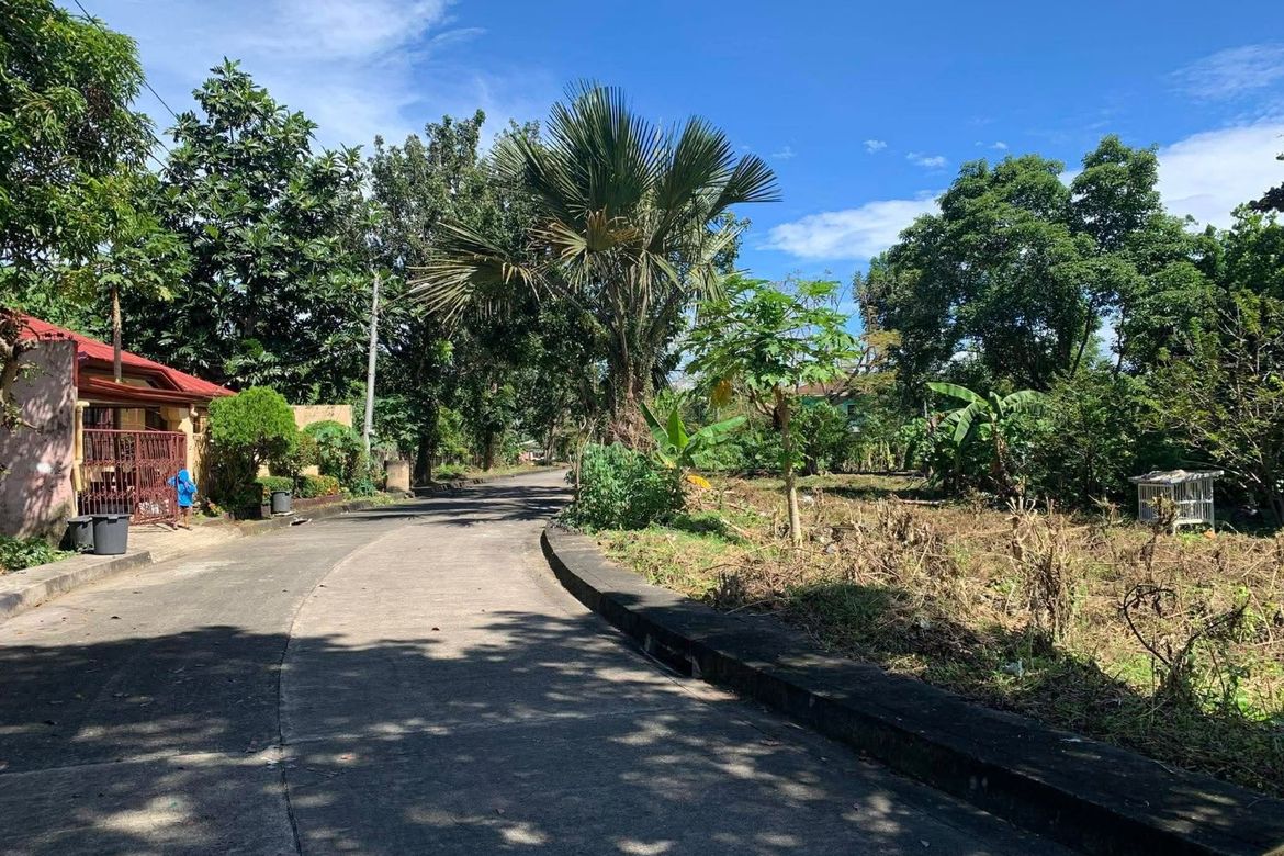 Land for Sale in Gabi, Cordoba, Cebu – photo 2