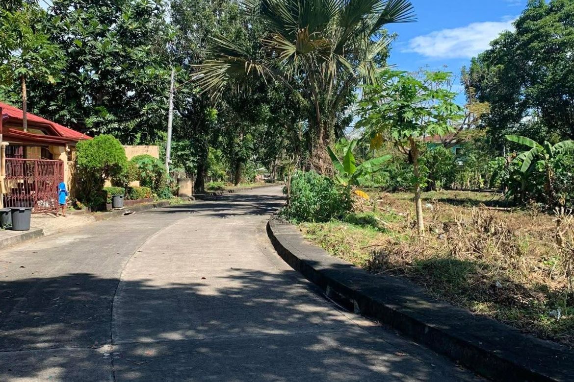Land for Sale in Gabi, Cordoba, Cebu – photo 3