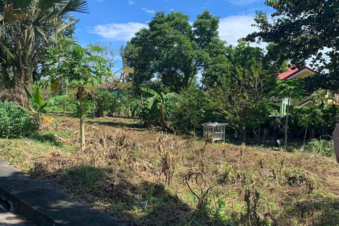 Land for Sale in Gabi, Cordoba, Cebu – photo 4