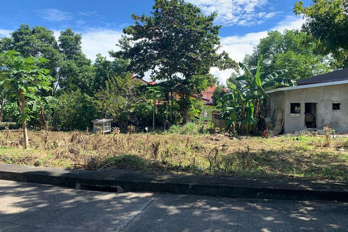 Land for Sale in Gabi, Cordoba, Cebu – photo 5