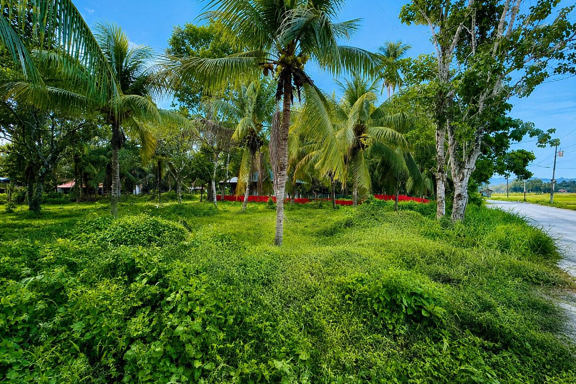 Land for Sale in Galas, Dipolog, Zamboanga del Norte – photo 2