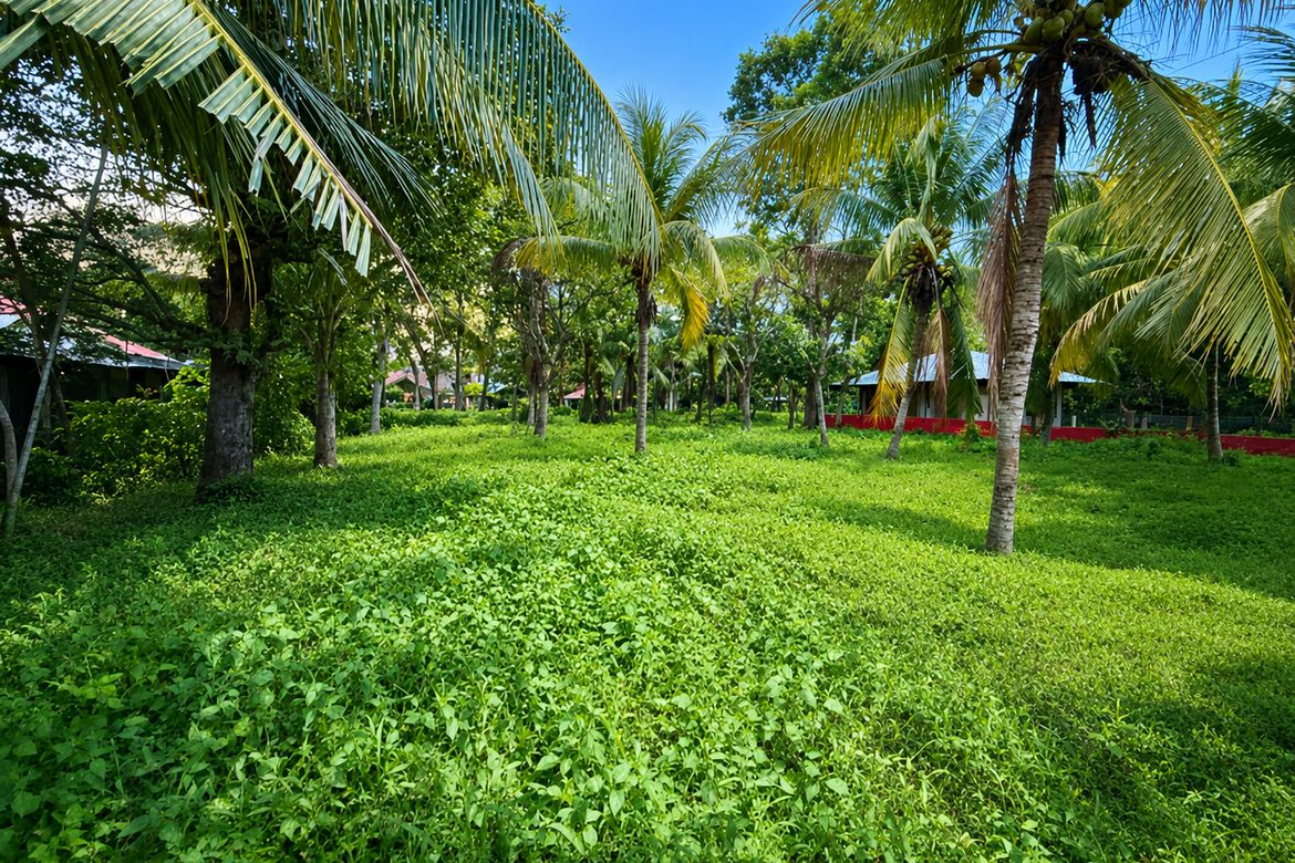 Land for Sale in Galas, Dipolog, Zamboanga del Norte – photo 3