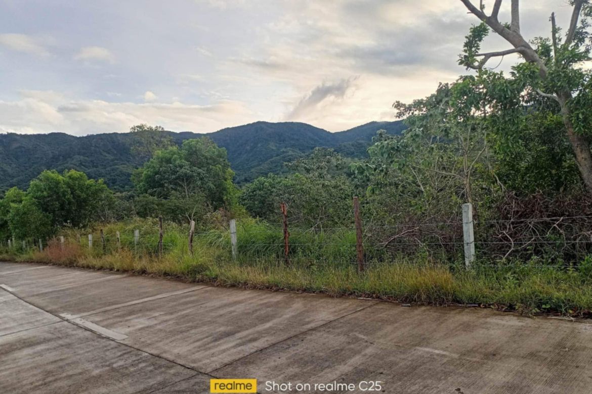 Land for Sale in Galintuja, Alfonso Castaneda, Nueva Vizcaya