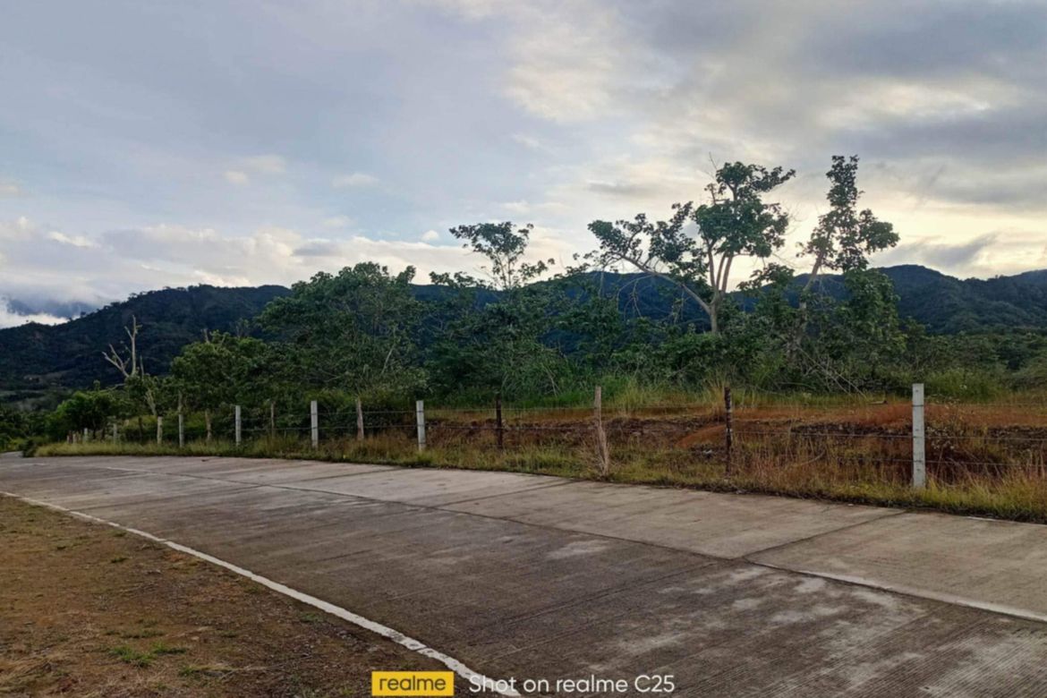 Land for Sale in Galintuja, Alfonso Castaneda, Nueva Vizcaya – photo 2