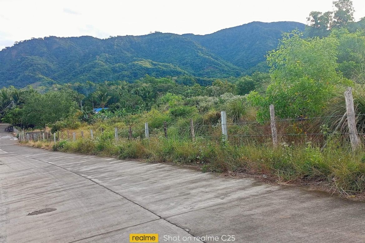 Land for Sale in Galintuja, Alfonso Castaneda, Nueva Vizcaya – photo 4