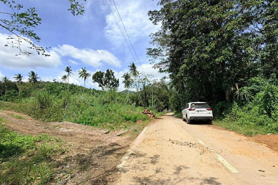 Land for Sale in Garing, Consolacion, Cebu