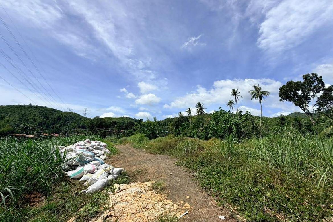 Land for Sale in Garing, Consolacion, Cebu – photo 3