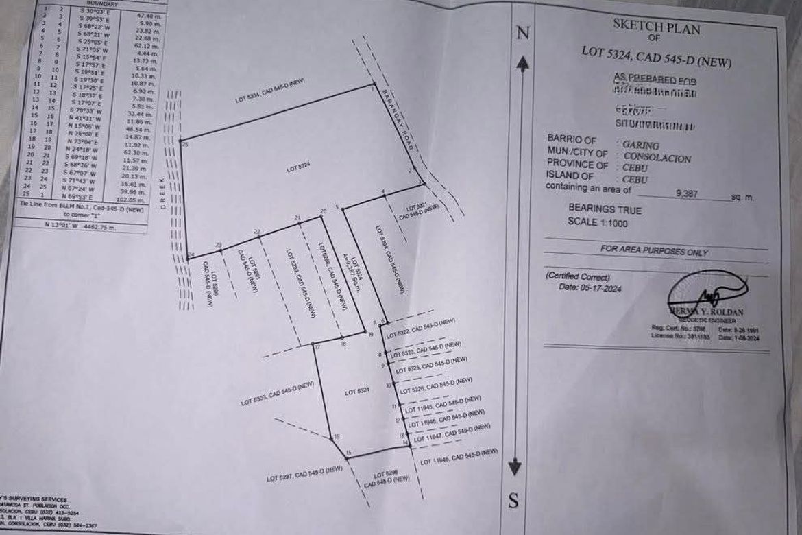 Land for Sale in Garing, Consolacion, Cebu – photo 4