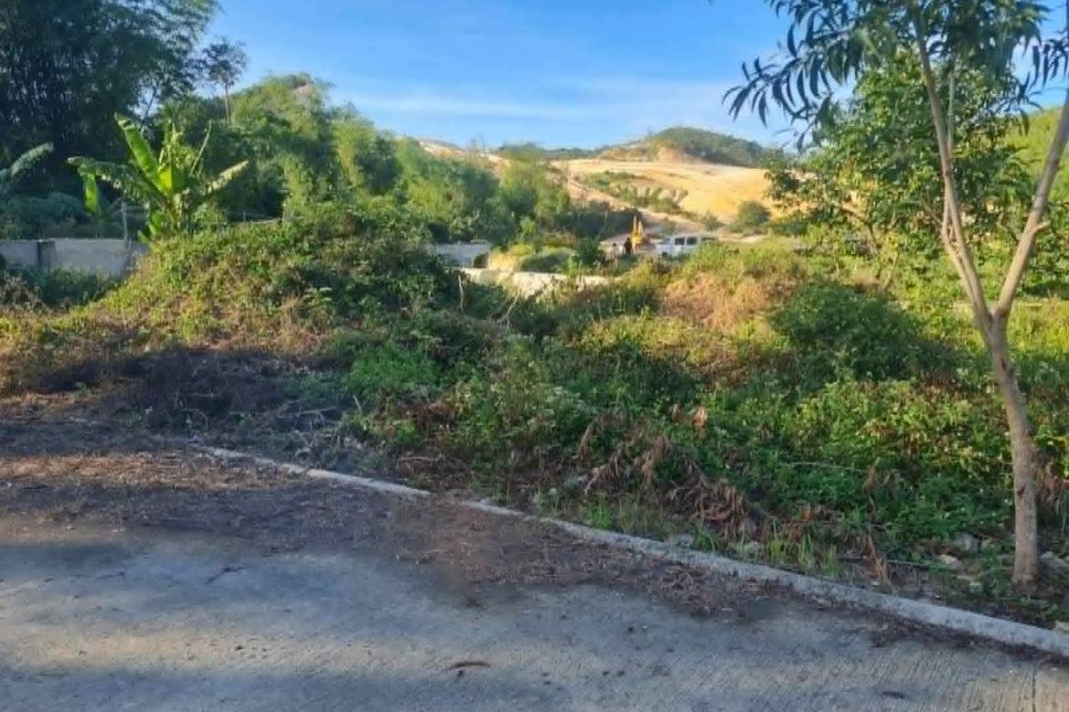 Land for Sale in Garing, Consolacion, Cebu
