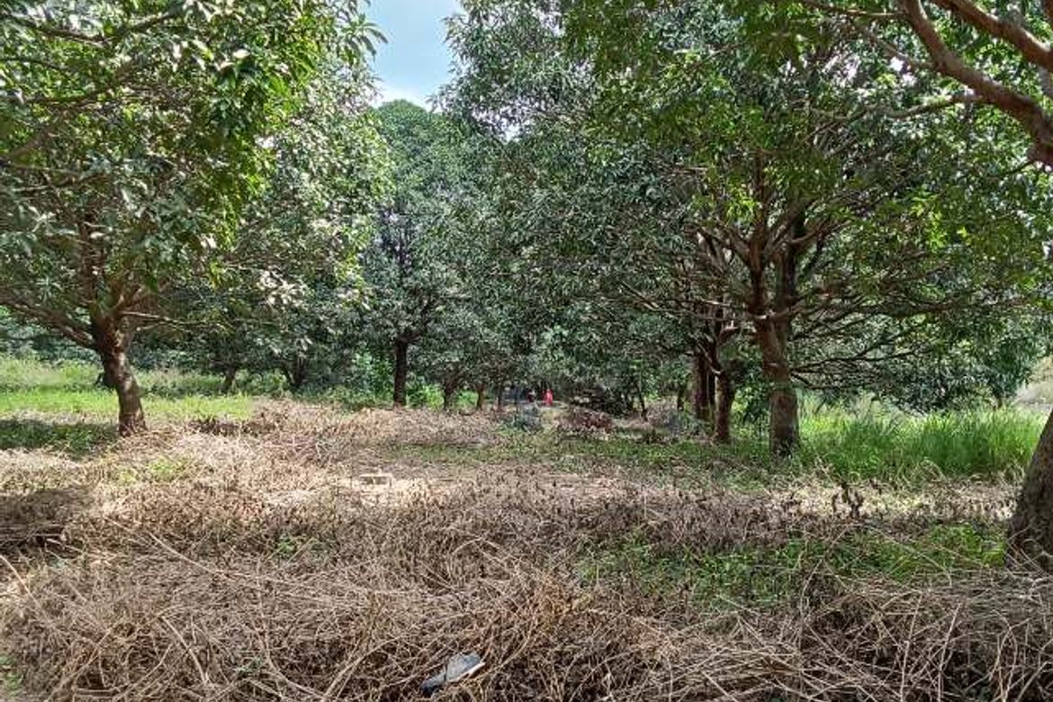 Land for Sale in Gaya-Gaya, San Jose del Monte, Bulacan – photo 2