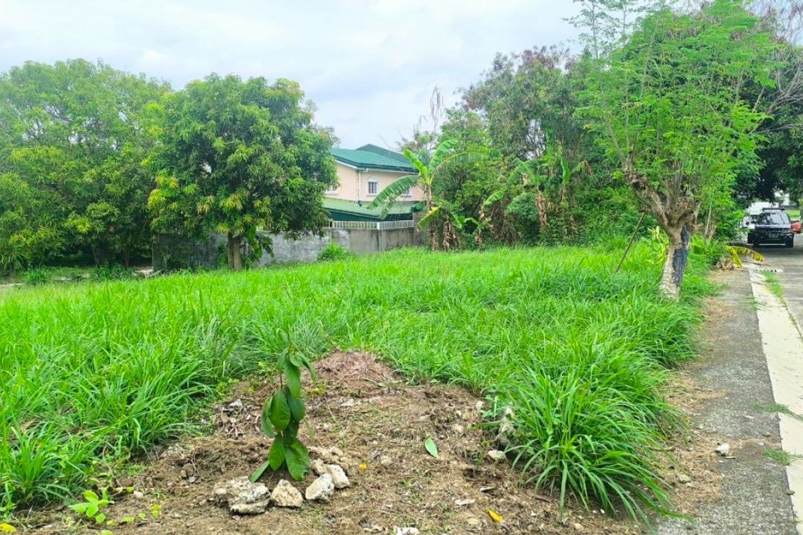 Land for Sale in General Trias, Cavite – photo 4