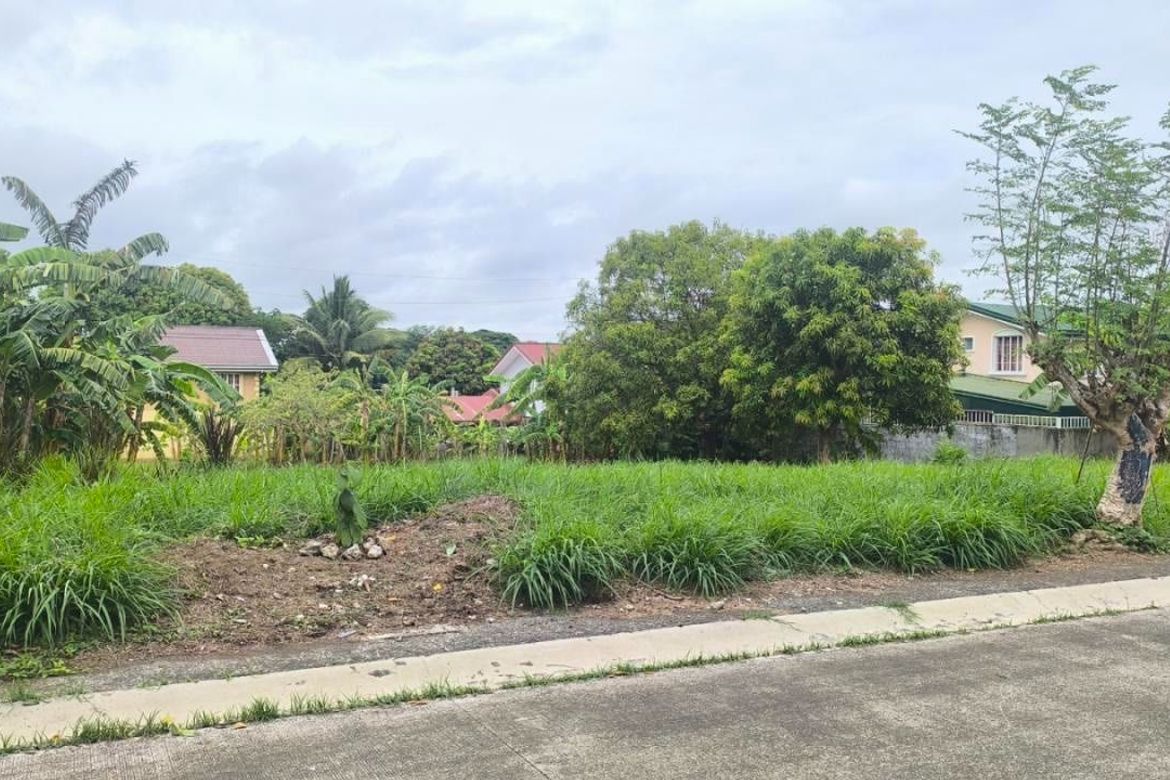 Land for Sale in General Trias, Cavite – photo 6