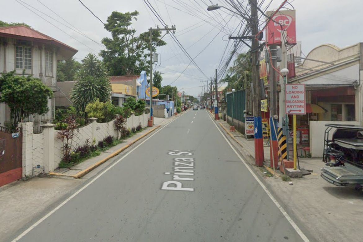 Land for Sale in General Trias, Cavite – photo 2