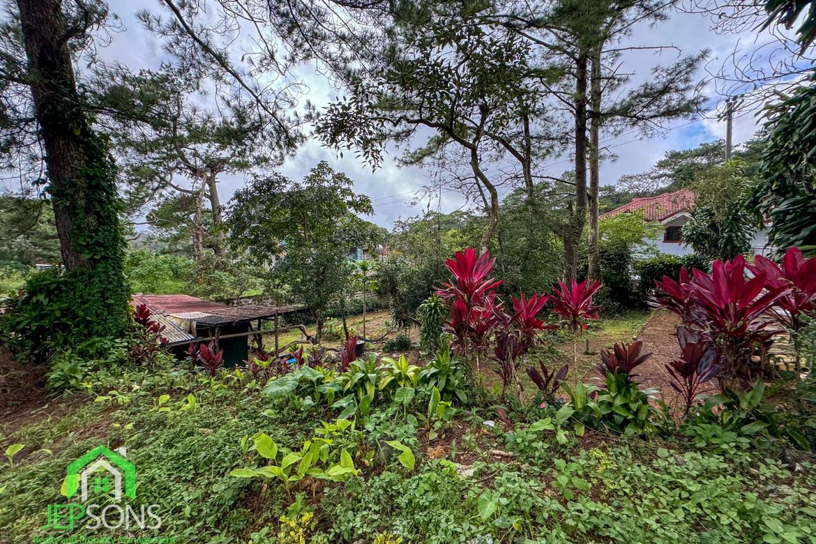 Land for Sale in Gibraltar, Baguio, Benguet – photo 3