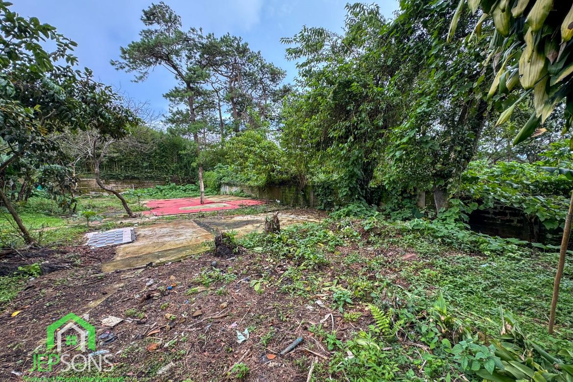 Land for Sale in Gibraltar, Baguio, Benguet – photo 8
