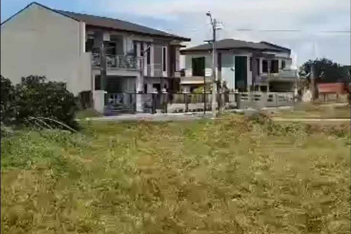 Land for Sale in Grand Tierra, Santo Domingo 2nd, Capas, Tarlac – photo 3