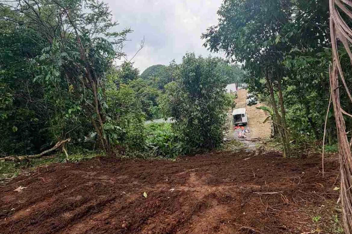 Land for Sale in Green Valley Farm - Alfonso, Pajo, Alfonso, Cavite – photo 5