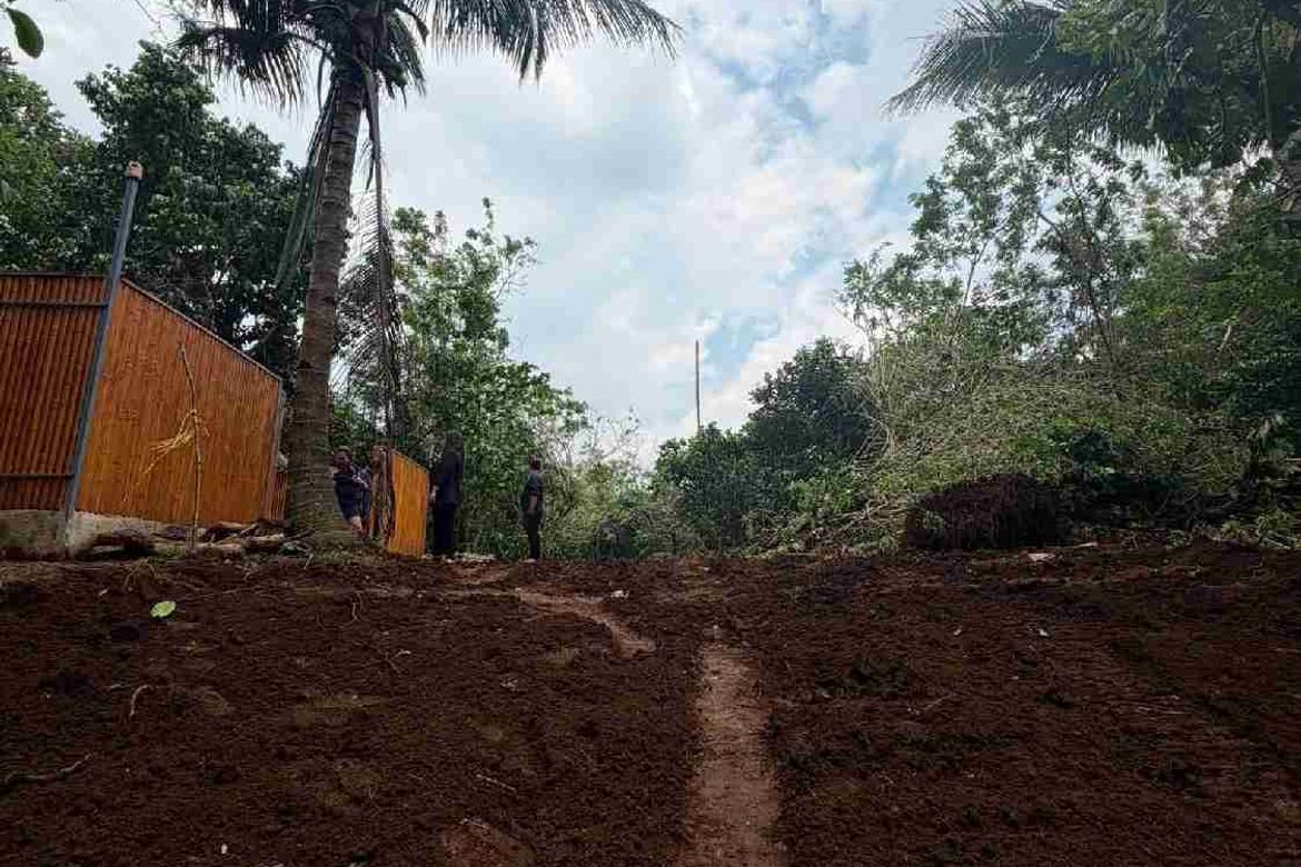 Land for Sale in Green Valley Farm - Alfonso, Pajo, Alfonso, Cavite – photo 6