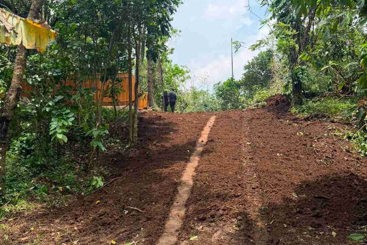 Land for Sale in Green Valley Farm - Alfonso, Pajo, Alfonso, Cavite – photo 8