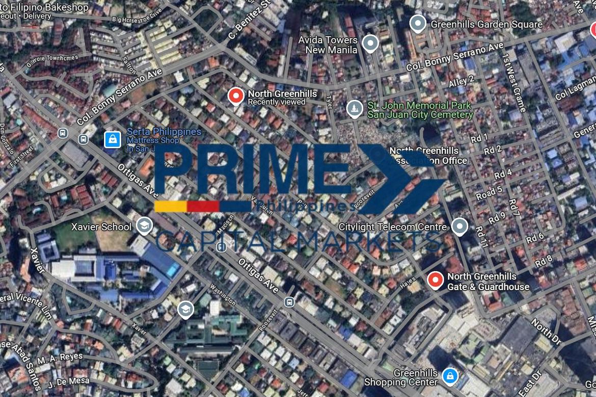 Land for Sale in Greenhills, San Juan, Metro Manila – photo 2