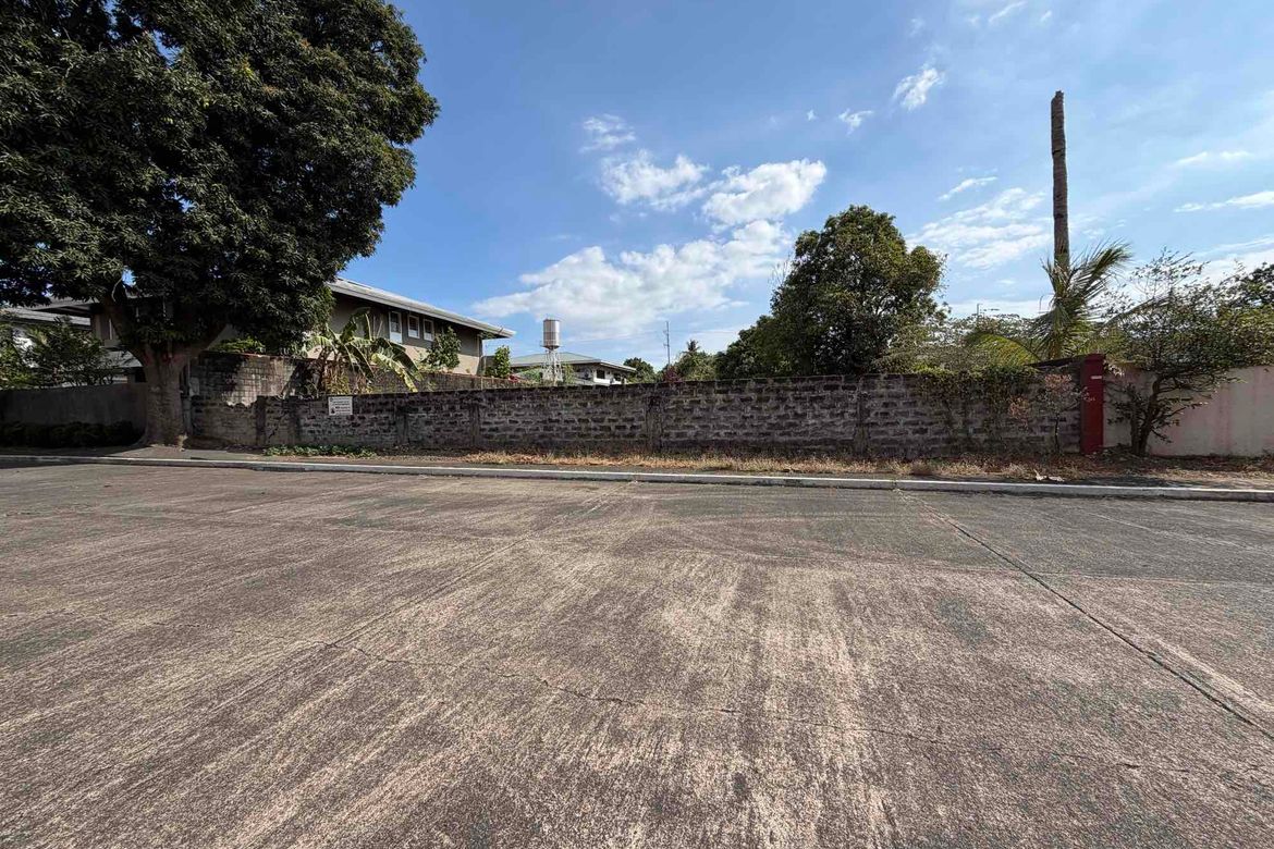 Land for Sale in Greenhills, San Juan, Metro Manila – photo 3