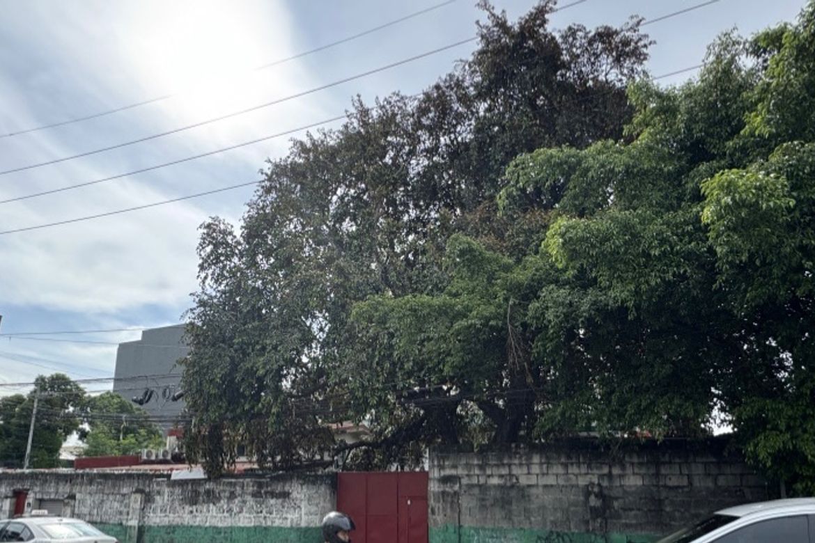 Land for Sale in Greenhills, San Juan, Metro Manila near MRT-3 Santolan – photo 2