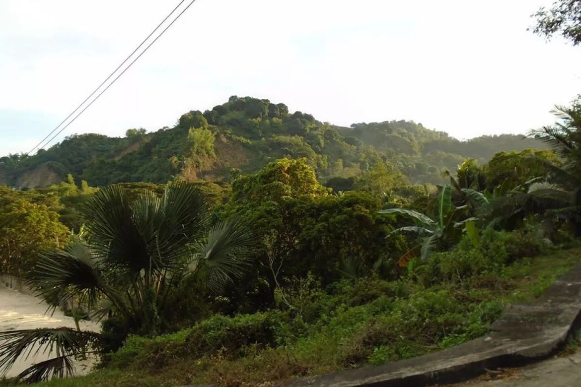 Land for Sale in Greenwoods Cebu, Talamban, Cebu City, Cebu