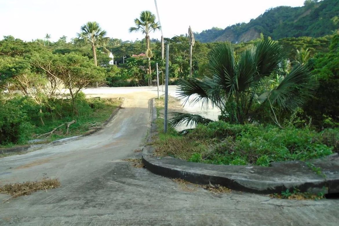 Land for Sale in Greenwoods Cebu, Talamban, Cebu City, Cebu – photo 4