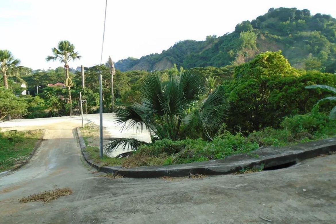 Land for Sale in Greenwoods Cebu, Talamban, Cebu City, Cebu – photo 5