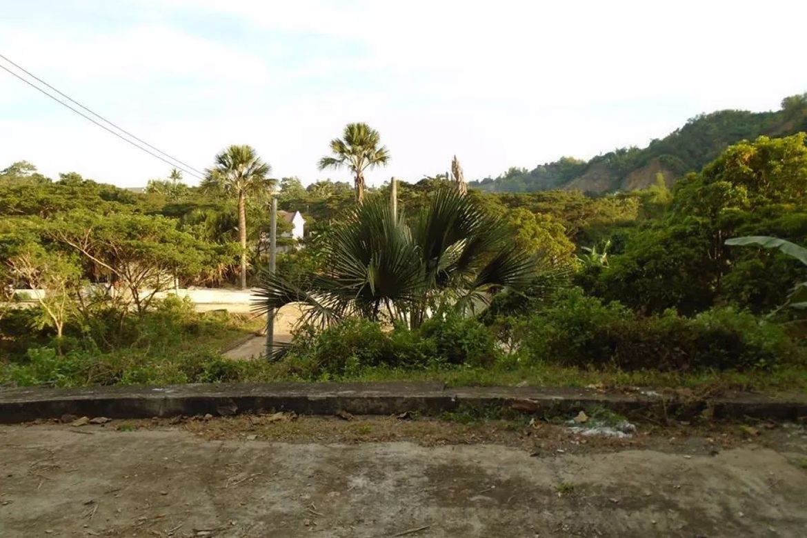 Land for Sale in Greenwoods Cebu, Talamban, Cebu City, Cebu – photo 8