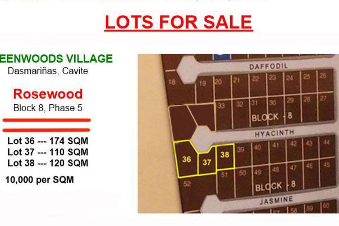 Land for Sale in Greenwoods Village - Dasmariñas, Paliparan I, Dasmariñas, Cavite – photo 6