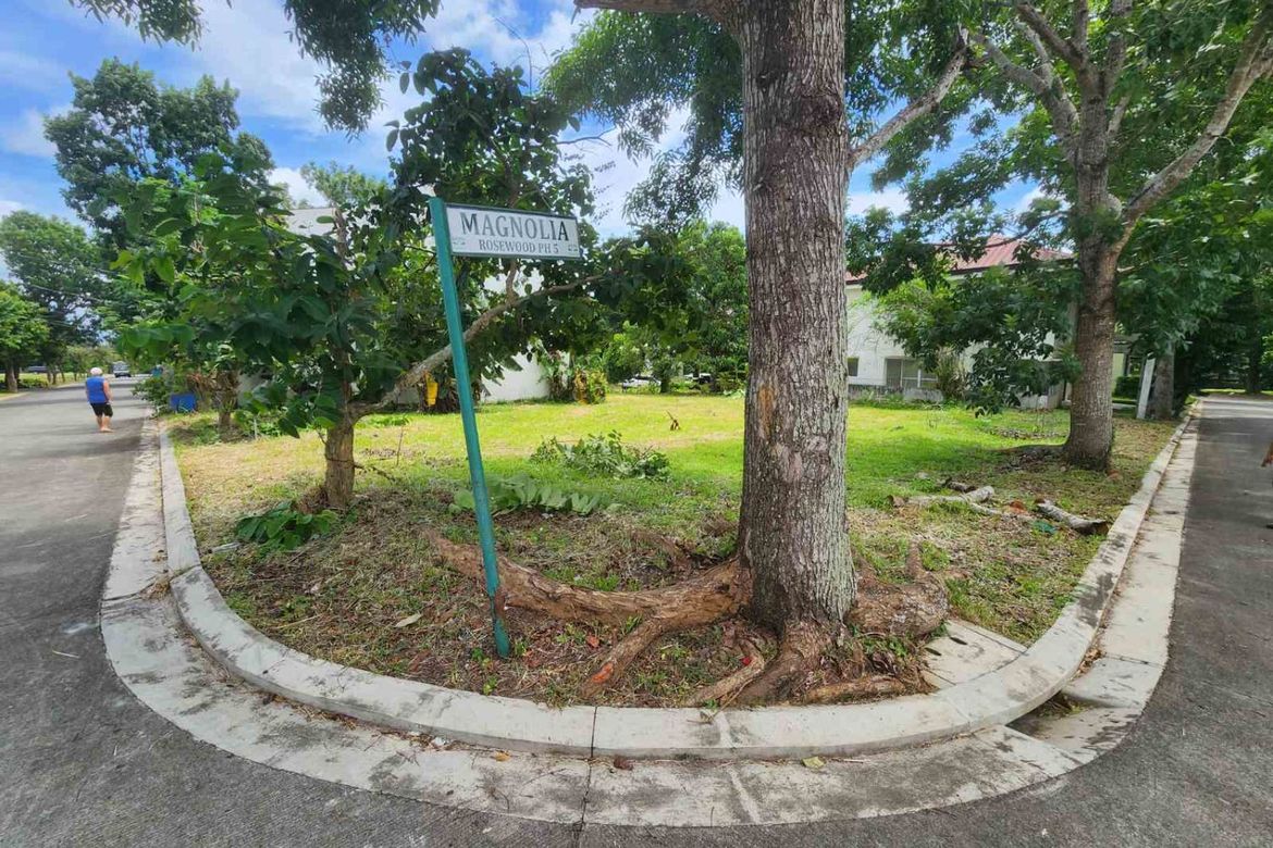 Land for Sale in Greenwoods Village - Dasmariñas, Paliparan I, Dasmariñas, Cavite