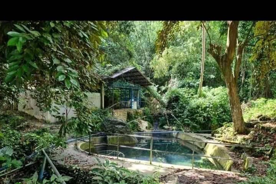 Land for Sale in Guadalupe, Carcar, Cebu – photo 2