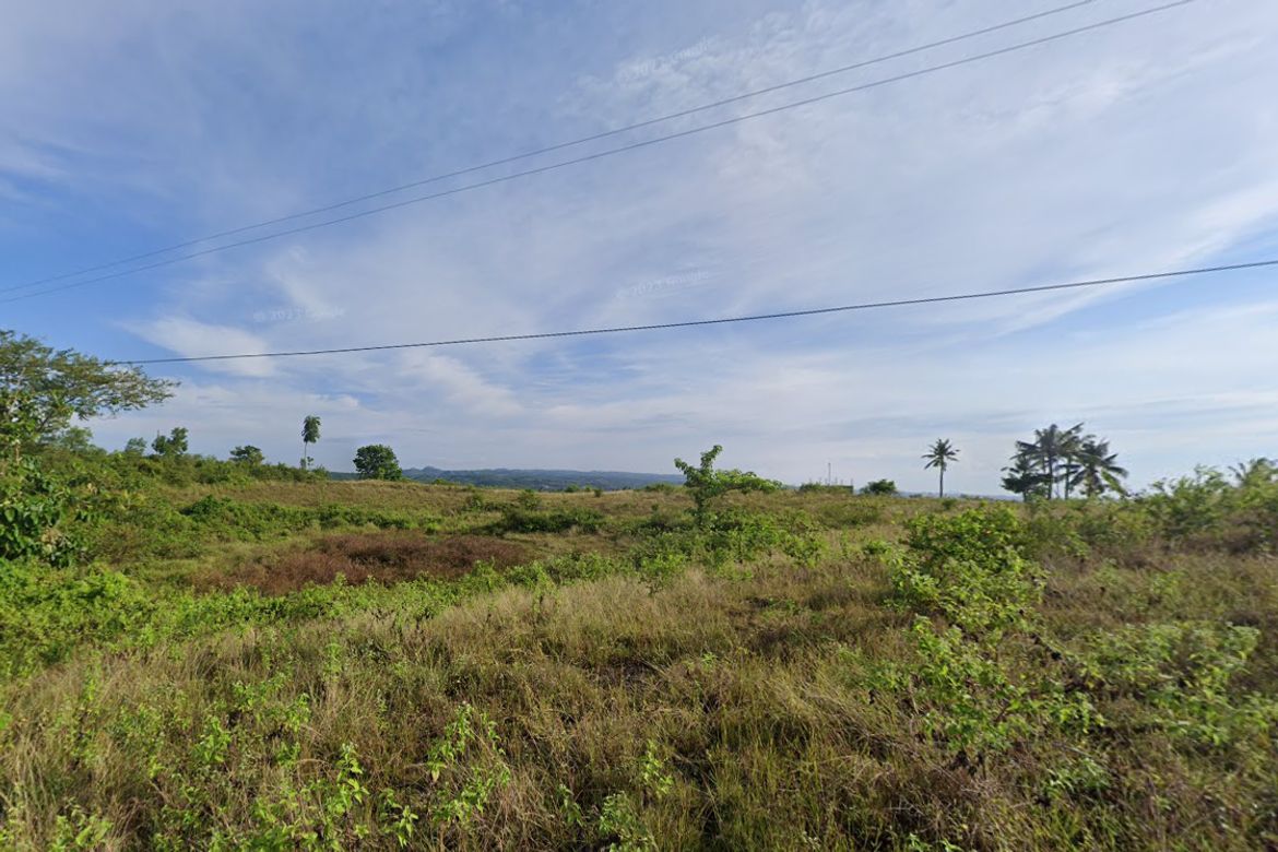 Land for Sale in Guadalupe, Carcar, Cebu – photo 2