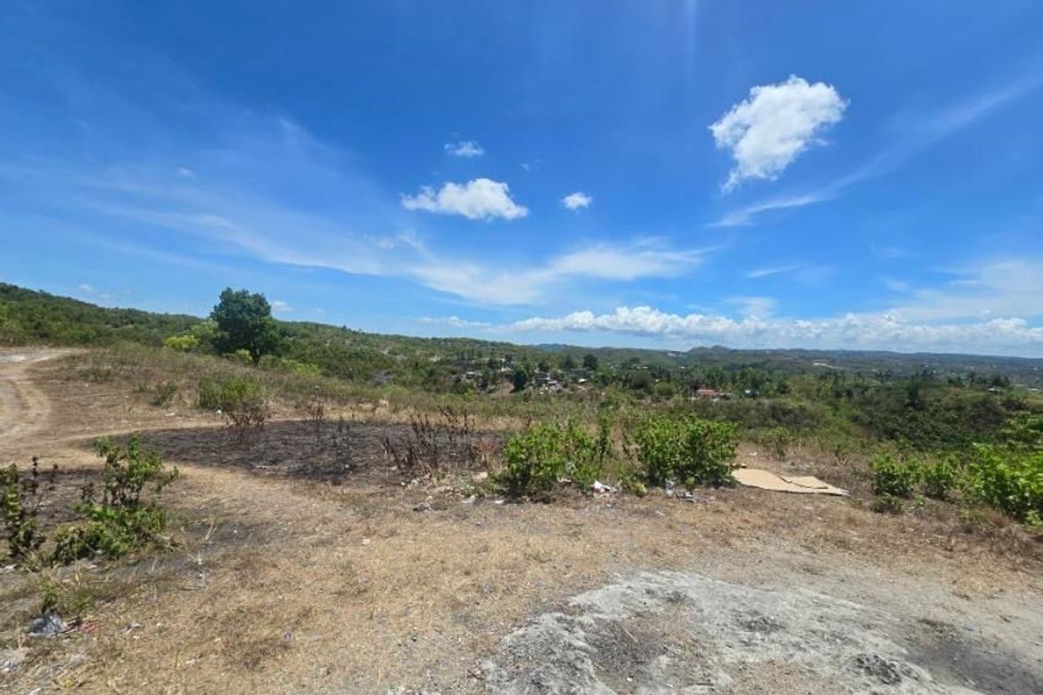 Land for Sale in Guadalupe, Carcar, Cebu – photo 3