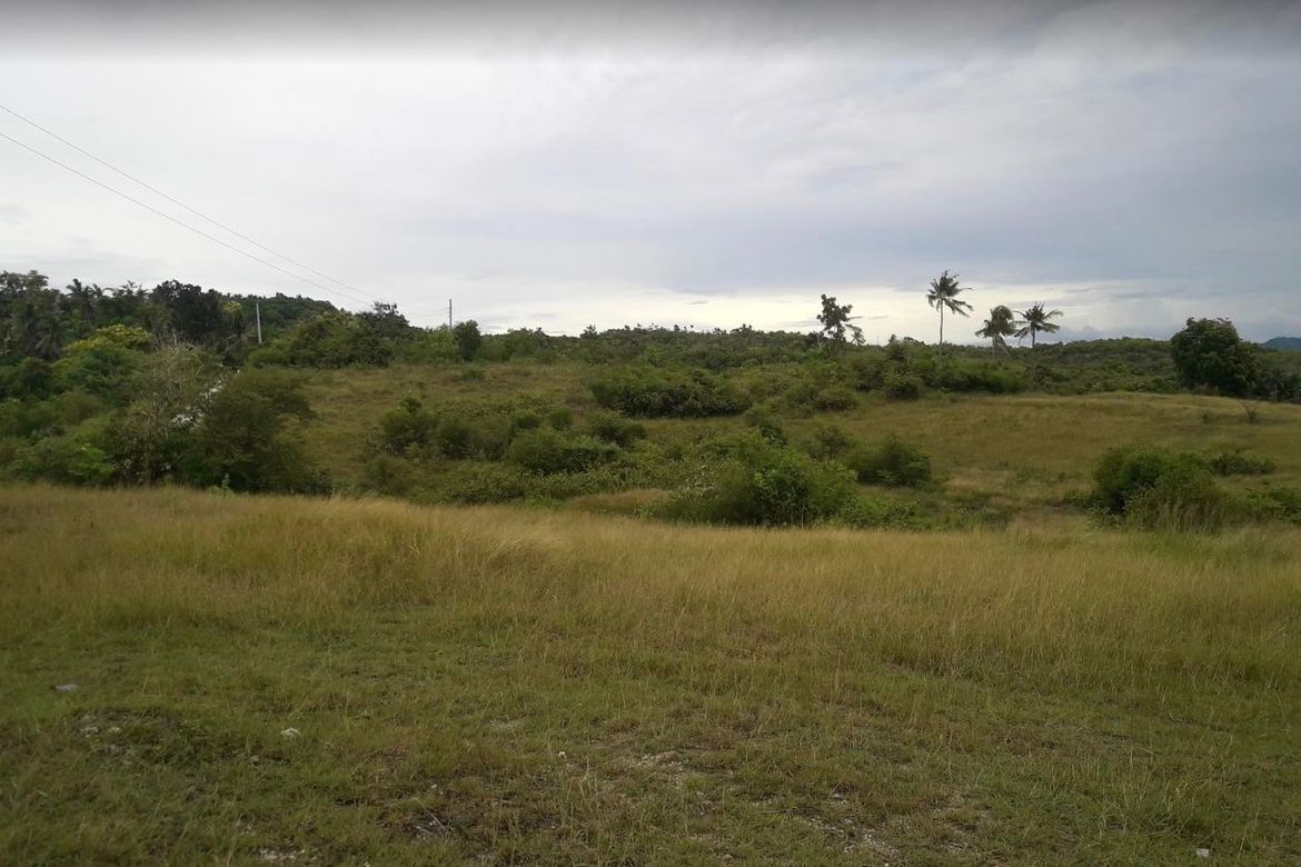 Land for Sale in Guadalupe, Carcar, Cebu – photo 5