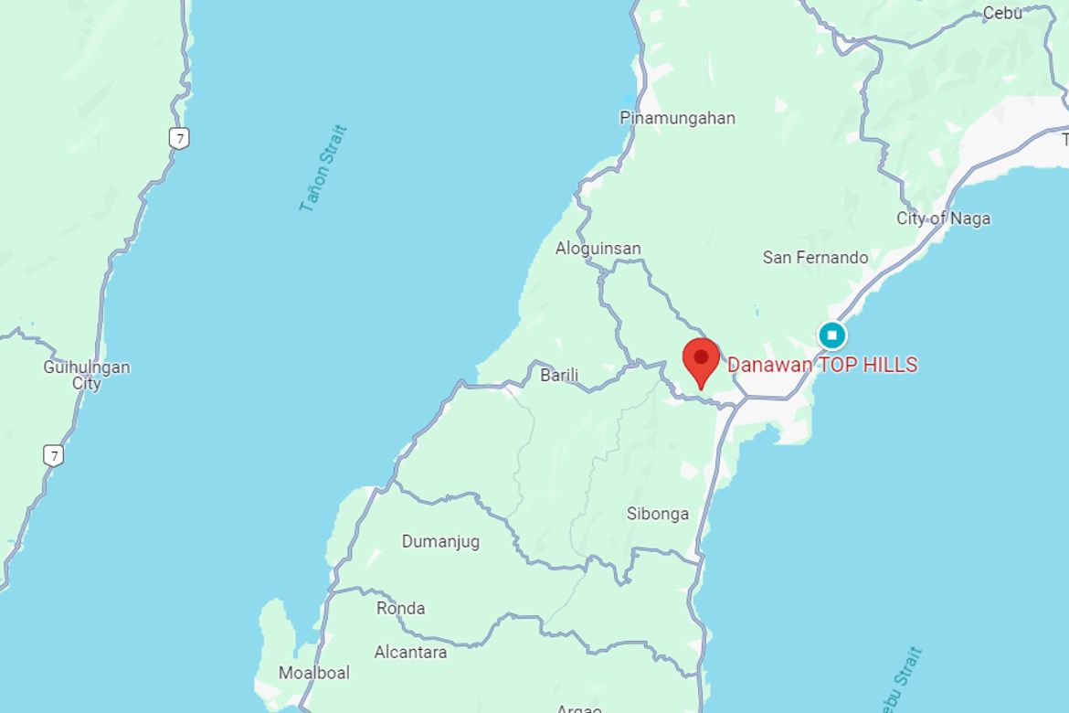Land for Sale in Guadalupe, Carcar, Cebu – photo 6