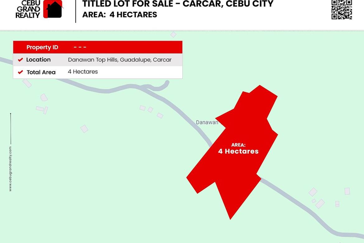 Land for Sale in Guadalupe, Carcar, Cebu – photo 2