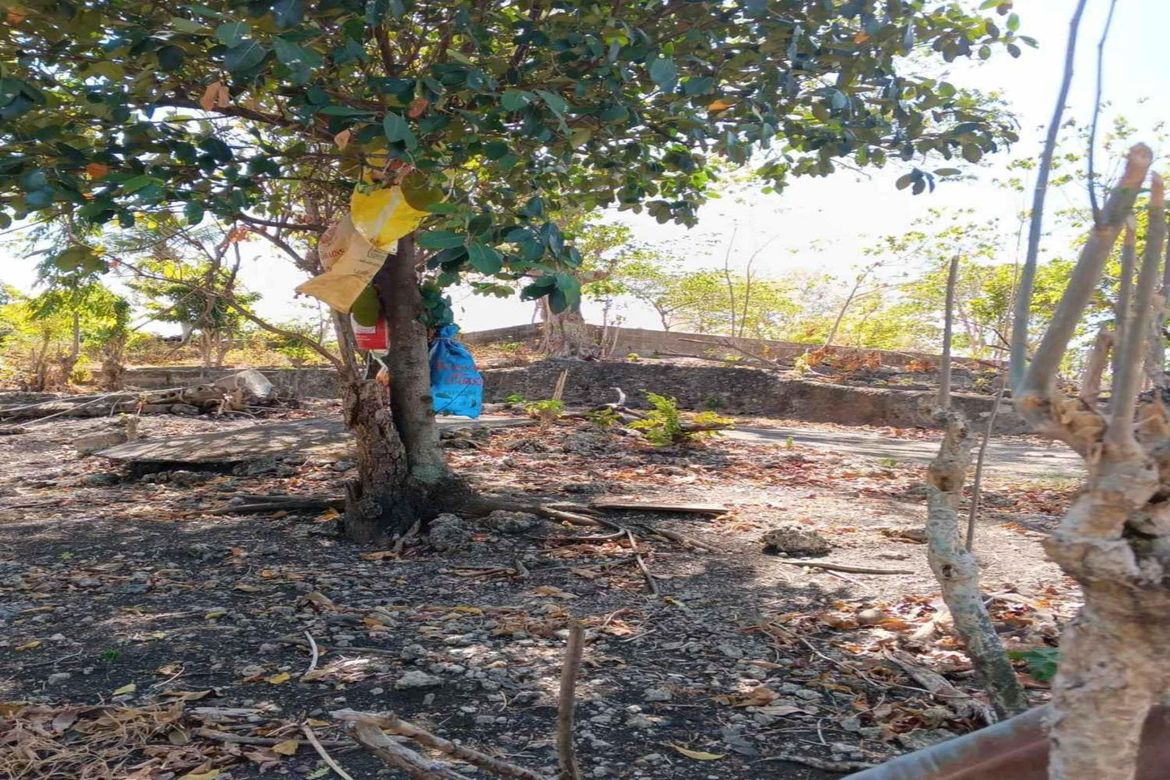 Land for Sale in Guadalupe, Cebu City, Cebu – photo 8