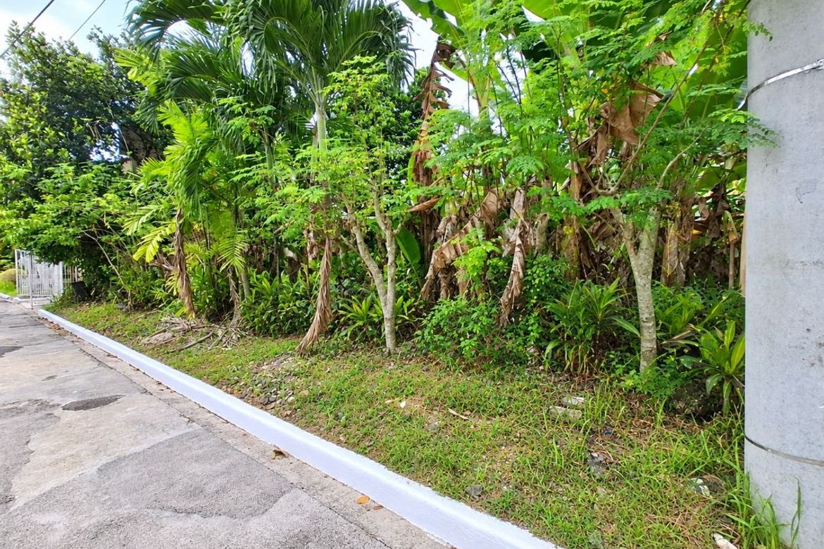 Land for Sale in Guadalupe, Cebu City, Cebu