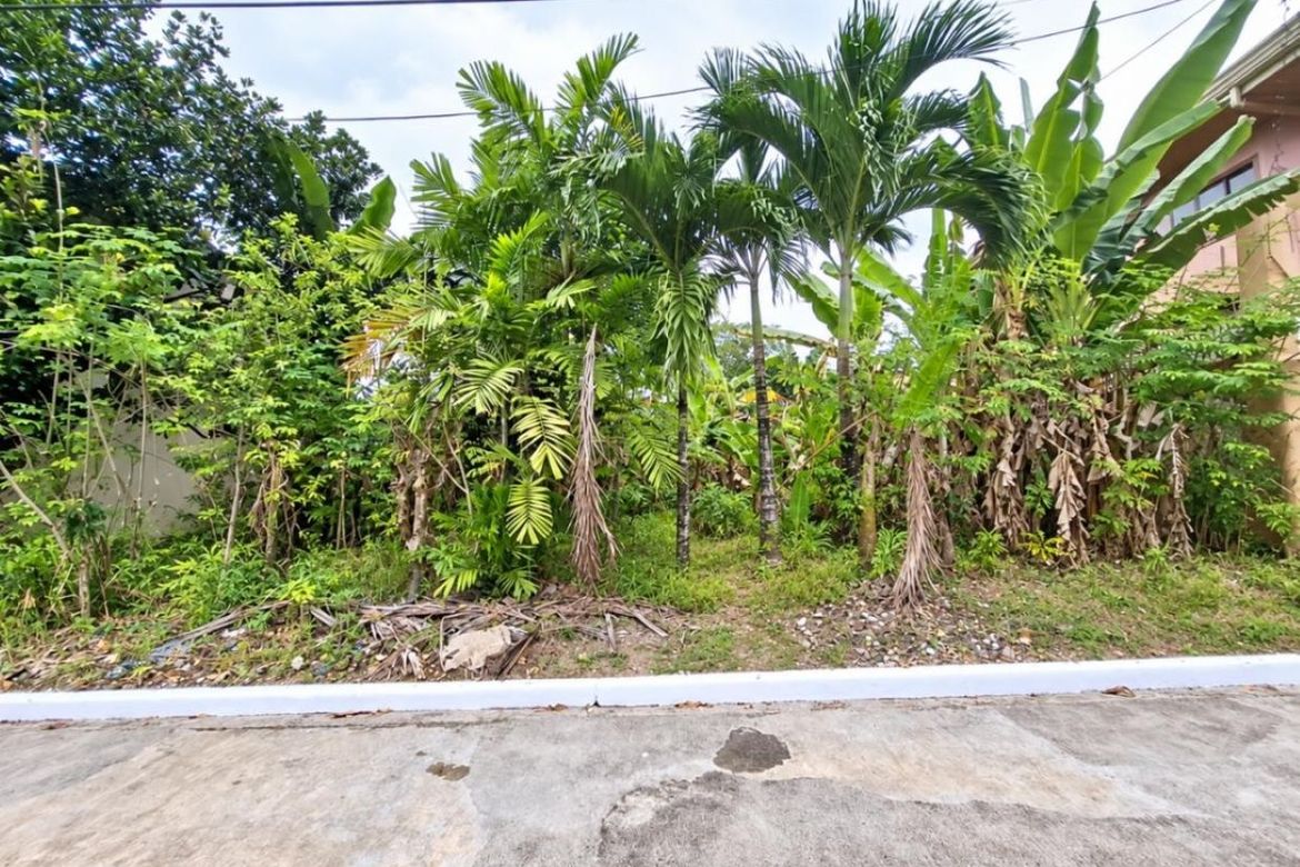 Land for Sale in Guadalupe, Cebu City, Cebu – photo 2