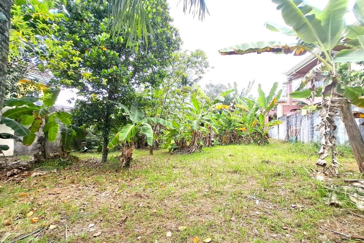 Land for Sale in Guadalupe, Cebu City, Cebu – photo 3