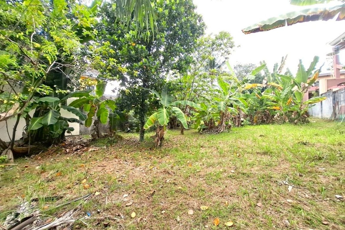 Land for Sale in Guadalupe, Cebu City, Cebu – photo 4