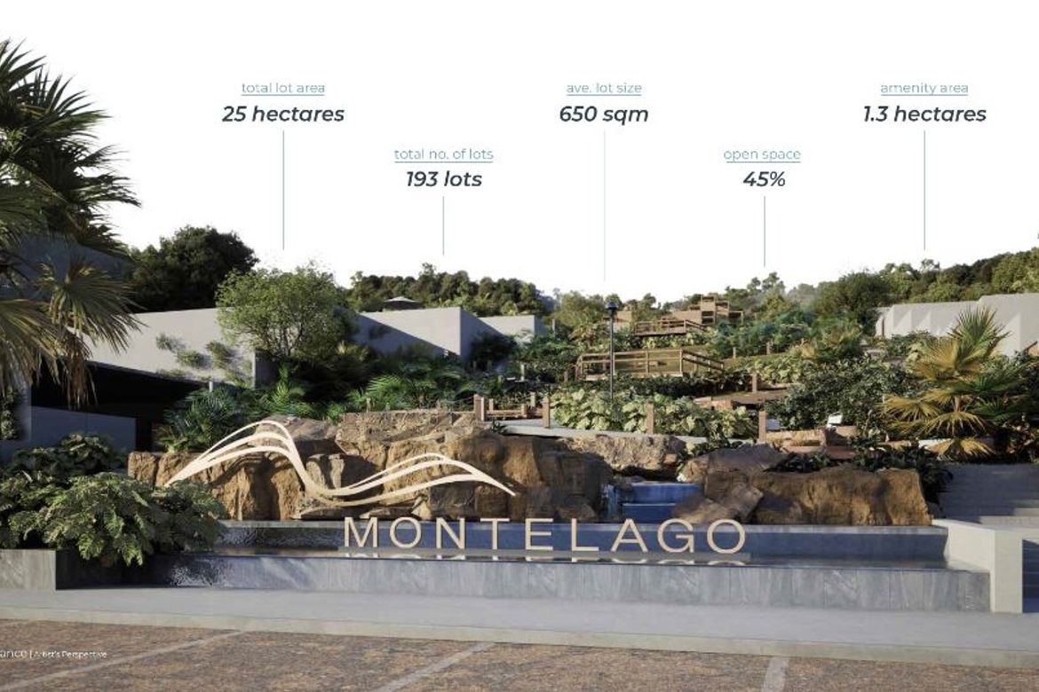 Land for Sale in Guadalupe, Cebu City, Cebu – photo 2