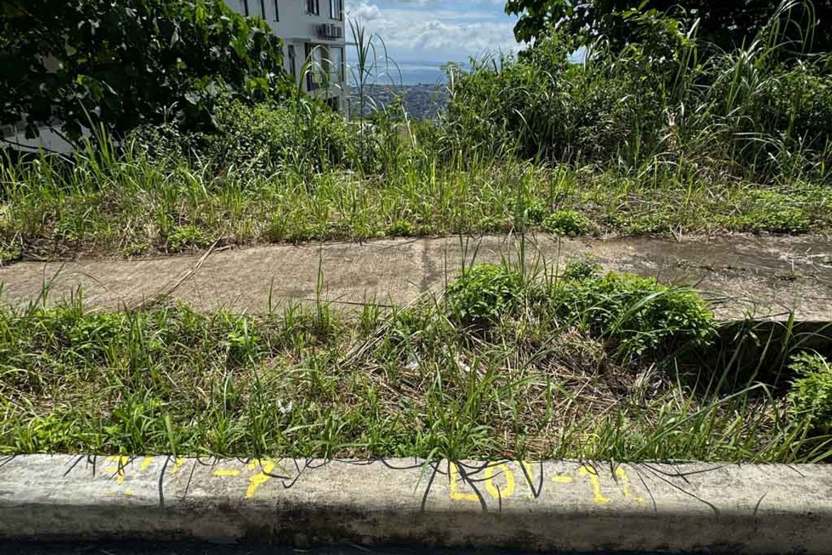 Land for Sale in Guadalupe, Cebu City, Cebu – photo 3