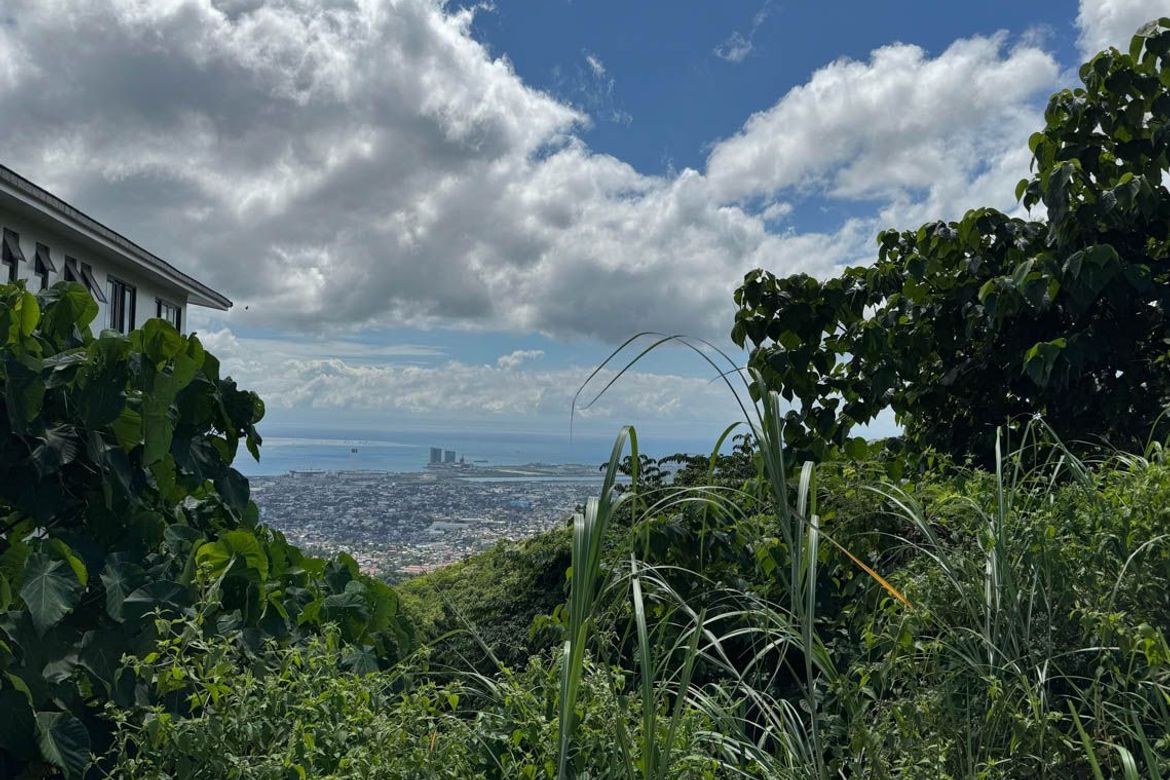 Land for Sale in Guadalupe, Cebu City, Cebu – photo 4