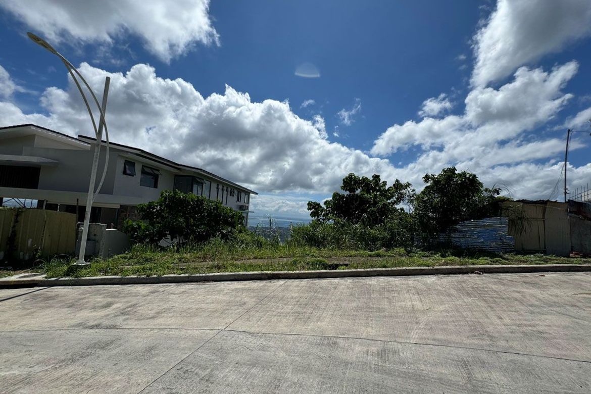 Land for Sale in Guadalupe, Cebu City, Cebu – photo 6